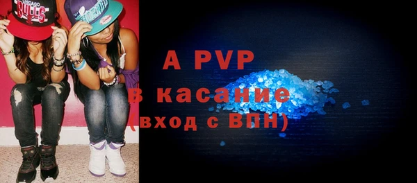 дживик Пересвет