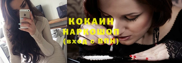 дживик Пересвет