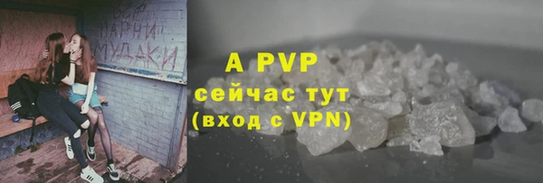 дживик Пересвет
