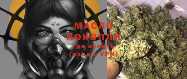 мдпв Ельня