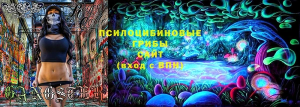 дживик Пересвет