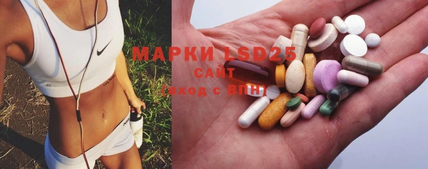 мдпв Ельня
