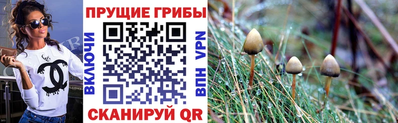 МЕГА ТОР  наркошоп  Петухово  Галлюциногенные грибы Psilocybe 